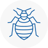 Bed Bug Extermination In Southborough