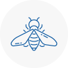 Bee Nest Removal Southborough