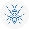 Southborough Hornet Nest Removals