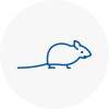 Mice Exterminators In Southborough