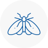 Moth Control Specialists In Southborough