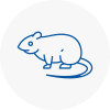 Rat Control Southborough