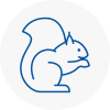 Southborough Rodent Removals